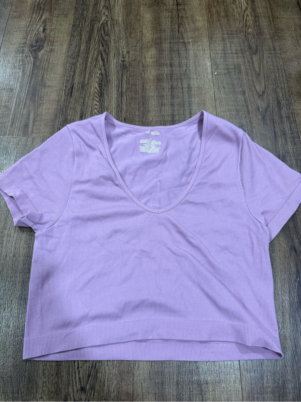 wild fable Lilac V-Neck Ribbed Crop Top